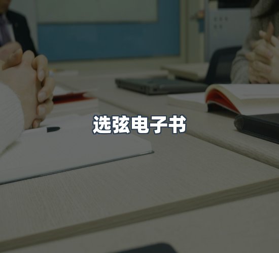 关于选弦电子书